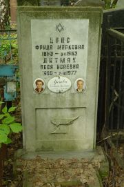 Цвас Фрида Марковна, Москва, Востряковское кладбище